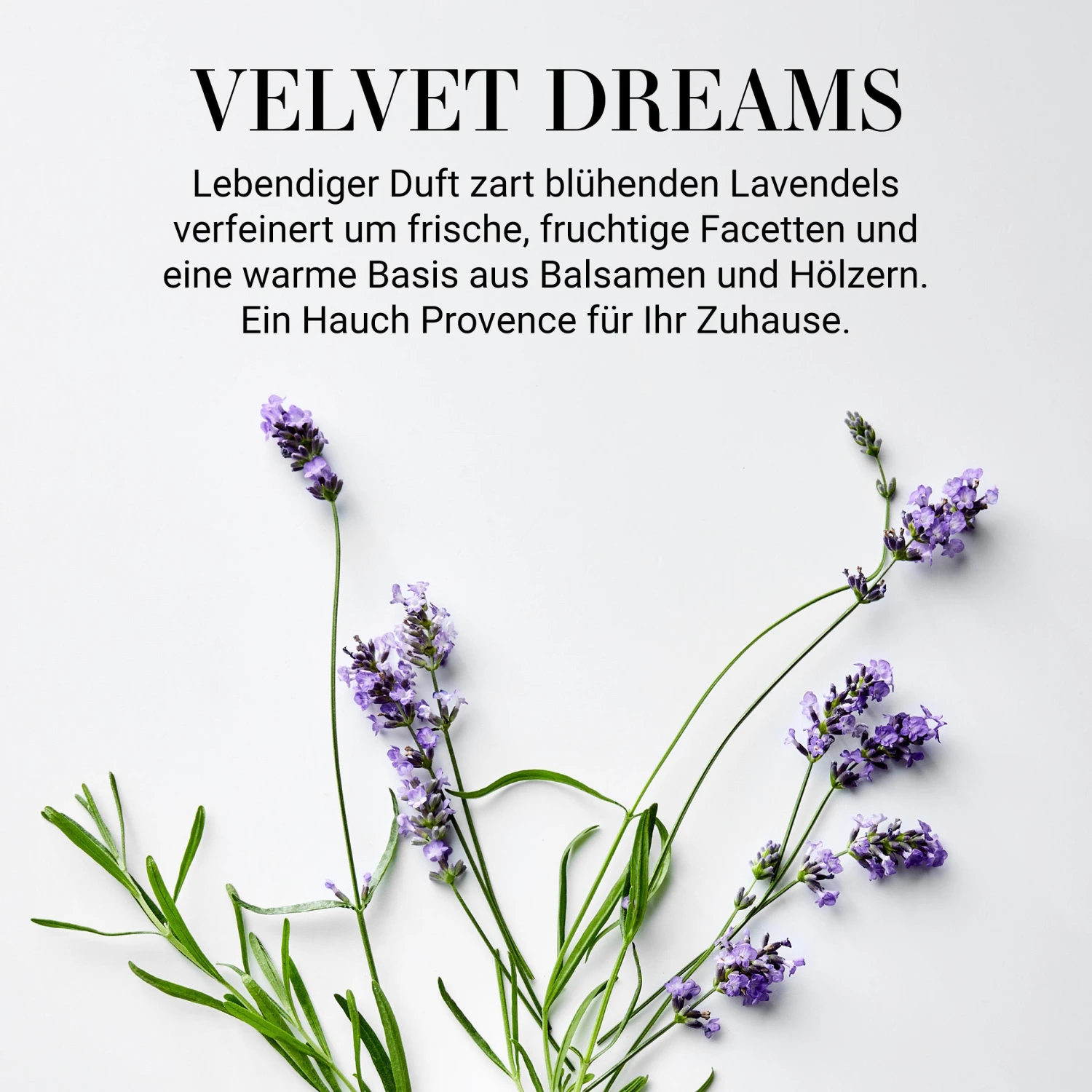 Raumduft No 3 "Velvet Dreams" 110ml HOME & SOUL In Transparent – Bild 2