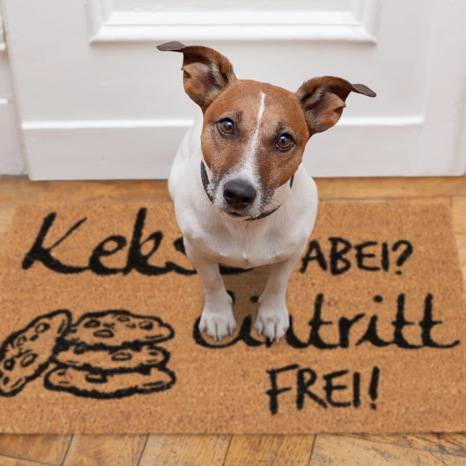 Fußmatte Kekse Dabei? Eintritt Frei! In Natur/Schwarz - 40 X 60 Cm – Bild 5